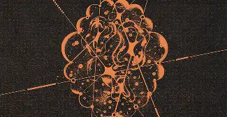cerebro